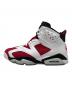 NIKE (ナイキ) Air Jordan 6 