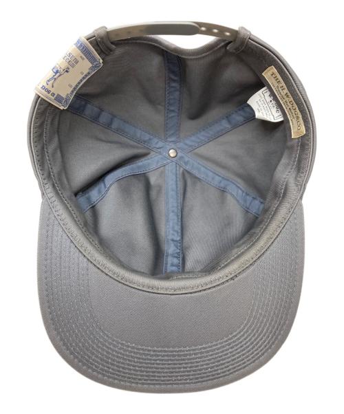THE H.W.DOG&CO.（エイチダブリュードッグアンドコー）THE H.W.DOG&CO. (エイチダブリュードッグアンドコー) ロゴキャップ グレー サイズ:ONEの古着・服飾アイテム