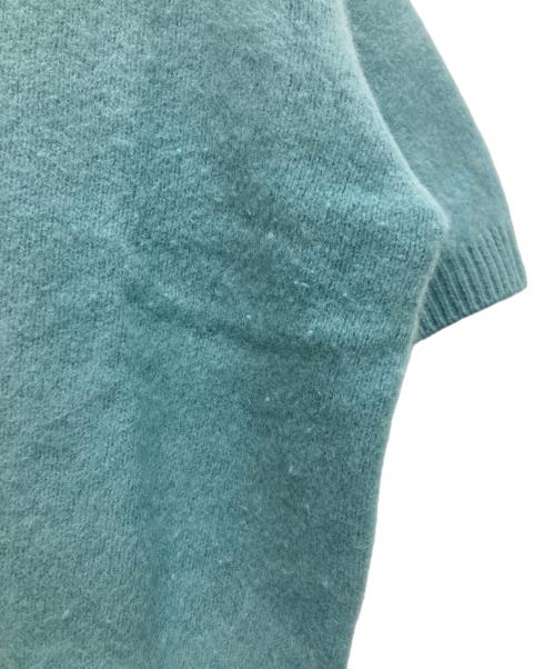 IENA（イエナ）IENA (イエナ) ファーハーフスリーブプルオーバー グリーン サイズ:不明（実寸参照）の古着・服飾アイテム