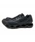 MIZUNO (ミズノ) WAVE PROPHECY LS ブラック サイズ:27：14000円