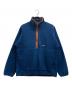 Patagonia SYNCHILLA（パタゴニア シンチラ）の古着「フリースジャケット」｜ブルー×ブラウン
