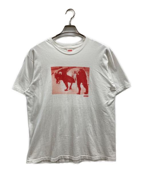 SUPREME（シュプリーム）SUPREME (シュプリーム) Daido Moriyama Dog Tee ホワイト サイズ:Lの古着・服飾アイテム