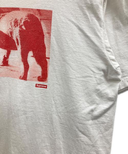 SUPREME（シュプリーム）SUPREME (シュプリーム) Daido Moriyama Dog Tee ホワイト サイズ:Lの古着・服飾アイテム