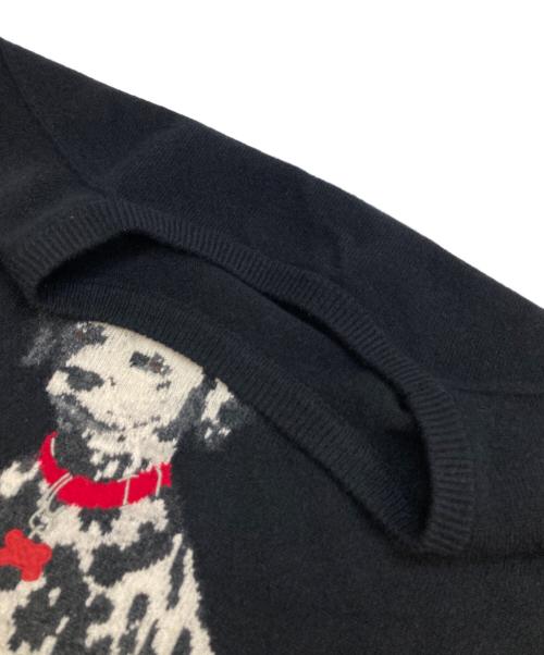 POLO RALPH LAUREN（ポロ・ラルフローレン）POLO RALPH LAUREN (ポロ・ラルフローレン) カシミヤニット ブラック サイズ:Mの古着・服飾アイテム