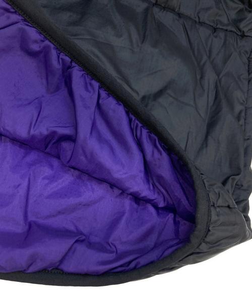 Patagonia（パタゴニア）Patagonia (パタゴニア) PUFFBALL VEST　90ｓ ブラック サイズ:Lの古着・服飾アイテム