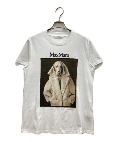 MaxMara（マックスマーラ）MaxMara (マックスマーラ) ドッグプリント半袖カットソー ブラウン×ホワイト サイズ:Mの古着・服飾アイテム