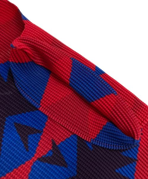 ISSEY MIYAKE（イッセイミヤケ）ISSEY MIYAKE (イッセイミヤケ) 総柄 ハイネックプリーツカットソー レッド×ブルー サイズ:不明(実寸参照)の古着・服飾アイテム