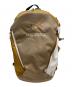 ARC'TERYX（アークテリクス）の古着「Mantis 26L Backpack 