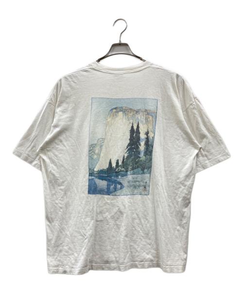 Patagonia（パタゴニア）Patagonia (パタゴニア) Yosemite tee ホワイト サイズ:不明(実寸参照)の古着・服飾アイテム