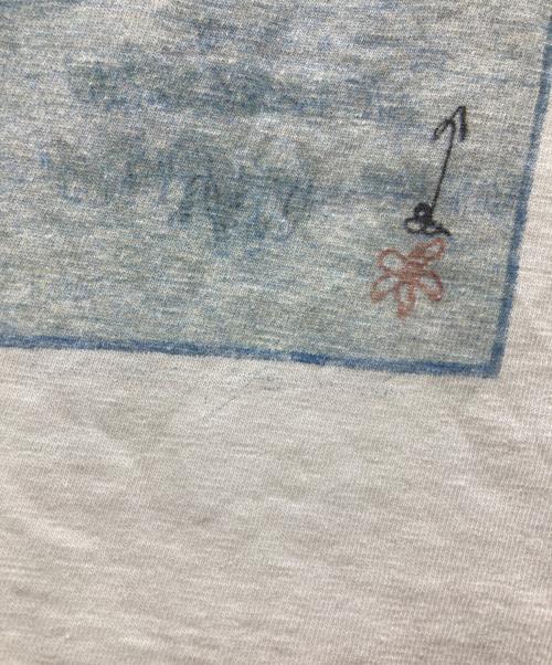 Patagonia（パタゴニア）Patagonia (パタゴニア) Yosemite tee ホワイト サイズ:不明(実寸参照)の古着・服飾アイテム