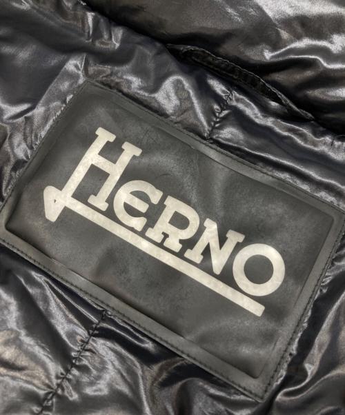 HERNO（ヘルノ）HERNO (ヘルノ) ロングダウンジャケット ブラック サイズ:42の古着・服飾アイテム