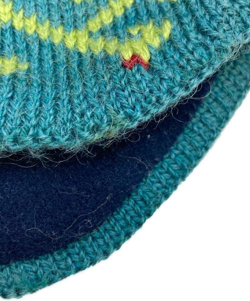 Patagonia（パタゴニア）Patagonia (パタゴニア) ネイティブ柄ポーラーキャップ グリーン サイズ:Lの古着・服飾アイテム