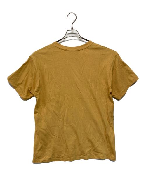 THE NORTH FACE（ザ ノース フェイス）THE NORTH FACE (ザ ノース フェイス) GUCCI (グッチ) ダブルネームロゴプリントTシャツ マスタード×ブラウン サイズ:SIZE XSの古着・服飾アイテム