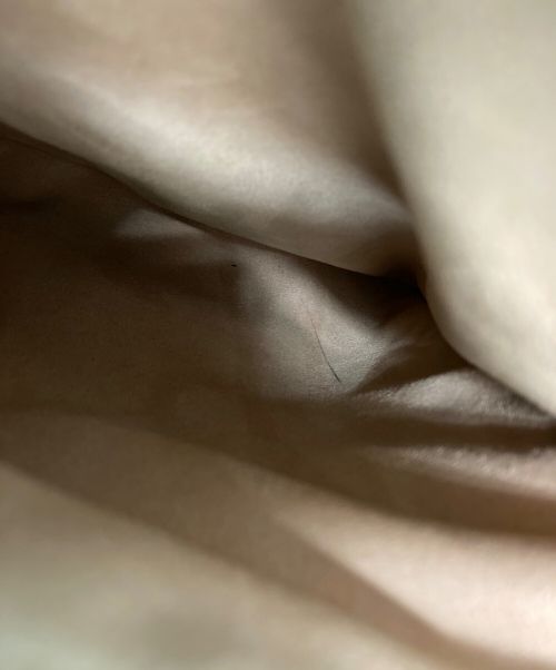 GUCCI（グッチ）GUCCI (グッチ) バンブーダイアナミディアムトートバッグ ブラックの古着・服飾アイテム