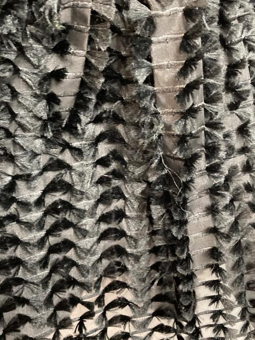 BAUM UND PFERDGARTEN（バウムウンドヘルガーデン）BAUM UND PFERDGARTEN (バウムウンドヘルガーデン) チュールキャミソール ブラック サイズ:36の古着・服飾アイテム