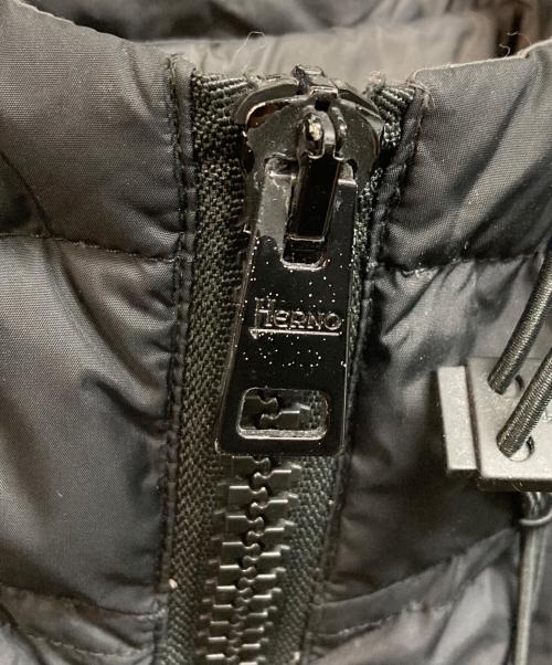 HERNO（ヘルノ）HERNO (ヘルノ) ダウンジャケット ブラック サイズ:46の古着・服飾アイテム