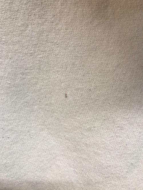 SUPREME（シュプリーム）SUPREME (シュプリーム) Collegiate Hooded Sweatshirt アイボリー サイズ:SIZE Ｍの古着・服飾アイテム