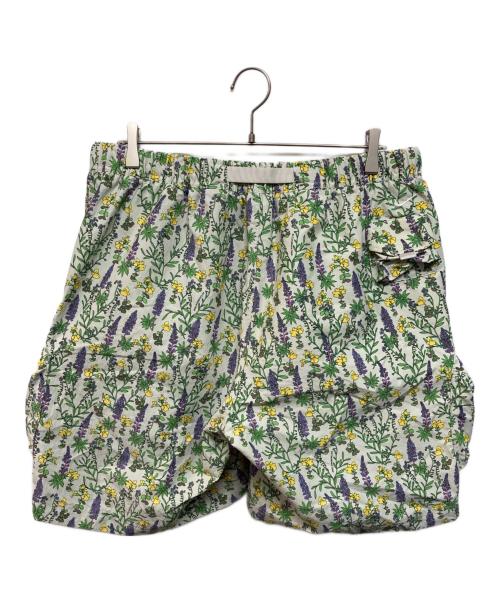 NIKE ACG（ナイキエーシージー）NIKE ACG (ナイキエージーシー) SNOWGRASS CRGSHRTAOP LIGHT BONE アイボリー サイズ:XXLの古着・服飾アイテム