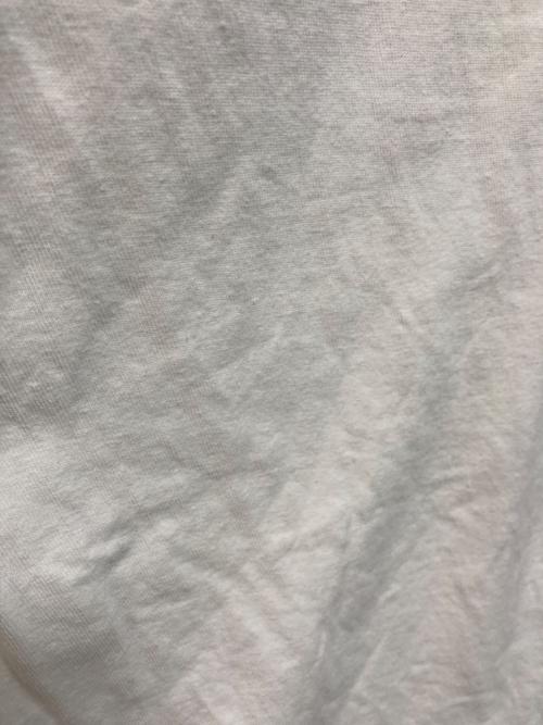 stussy（ステューシー）stussy (ステューシー) Tシャツ ホワイト サイズ:Mの古着・服飾アイテム