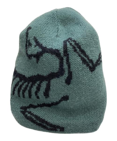 ARC'TERYX（アークテリクス）ARC'TERYX (アークテリクス) BIRD HEAD TOQUE グリーンの古着・服飾アイテム
