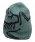 ARC'TERYX (アークテリクス) BIRD HEAD TOQUE グリーン：8000円
