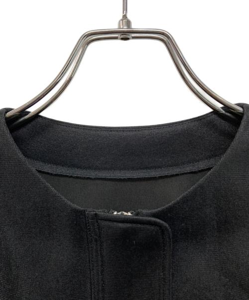 ELLA（エラ）ELLA (エラ) sheer cardboard blouson ブラック サイズ:Freeの古着・服飾アイテム