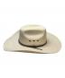 STETSON (ステットソン) テンガロンハット ベージュ サイズ:71/8：9000円