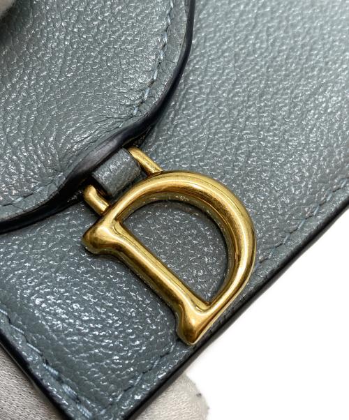 Christian Dior（クリスチャン ディオール）Christian Dior (クリスチャン ディオール) Saddle Cosmos ジップカードホルダー スカイブルーの古着・服飾アイテム