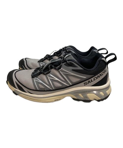 SALOMON（サロモン）SALOMON (サロモン) XT-6 Expanse 'Alloy Quiet Shade Black'（XT-6 エクスパンス『アロイ クワイエット シェイド ブラック） グレー サイズ:27の古着・服飾アイテム