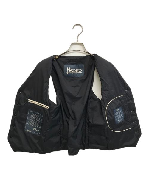 HERNO LEGEND（ヘルノレジェンド）HERNO LEGEND (ヘルノレジェンド) インナーダウンジレベスト ネイビー サイズ:44の古着・服飾アイテム