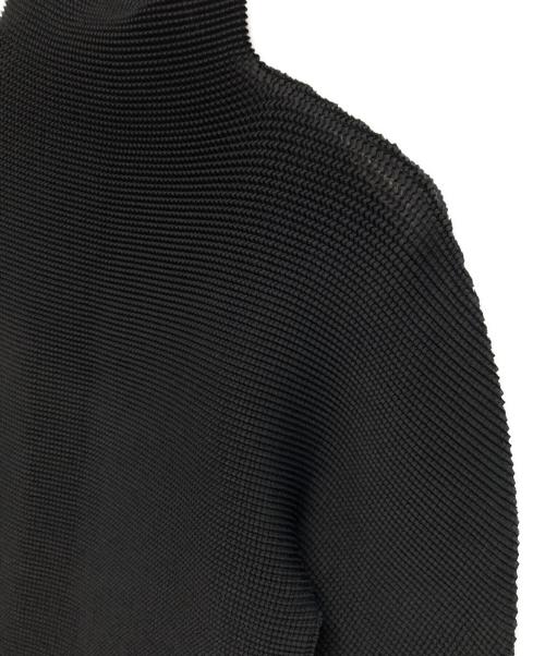 me ISSEY MIYAKE（ミーイッセイ ミヤケ）me ISSEY MIYAKE (ミーイッセイ ミヤケ) ハイネックプリーツカットソー ブラック サイズ:FREEの古着・服飾アイテム