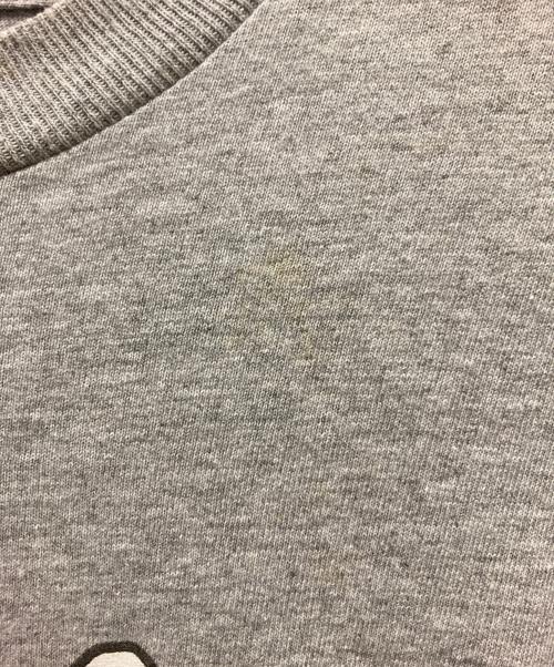 OLD STUSSY（オールドステューシー）OLD stussy (オールドステューシー) クロスボーンプリントTシャツ グレー サイズ:Ｍの古着・服飾アイテム