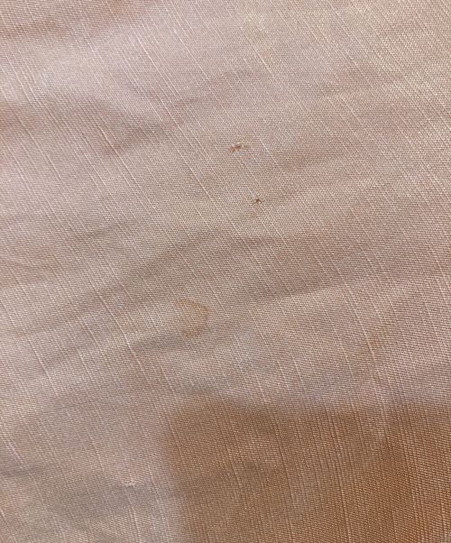 POLO RALPH LAUREN（ポロ・ラルフローレン）POLO RALPH LAUREN (ポロ・ラルフローレン) シルク混リネンシャツ オレンジ サイズ:XLの古着・服飾アイテム