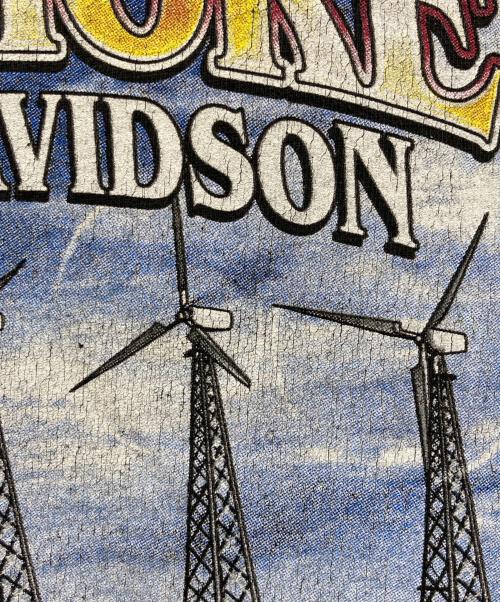 HARLEY-DAVIDSON（ハーレーダビッドソン）HARLEY-DAVIDSON (ハーレーダビッドソン) ヴィンテージプリントTシャツ ブラック サイズ:Lの古着・服飾アイテム