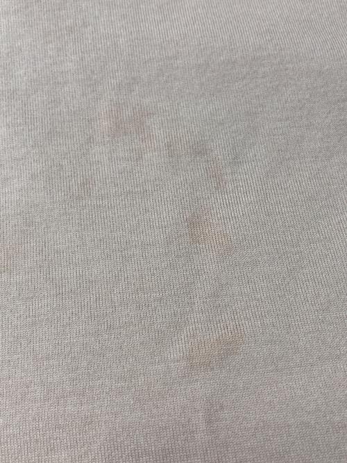 BURBERRY（バーバリー）BURBERRY (バーバリー) ホースフェリープリントTシャツ ベージュ サイズ:Mの古着・服飾アイテム