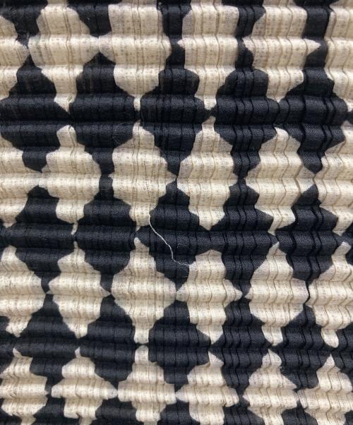 ISSEY MIYAKE（イッセイミヤケ）ISSEY MIYAKE (イッセイミヤケ) 総柄プリーツカットソー ホワイト×ブラック サイズ:Lの古着・服飾アイテム