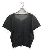 PLEATS PLEASEプリーツプリーズ）の古着「メッシュプリーツカットソー」｜ブラック