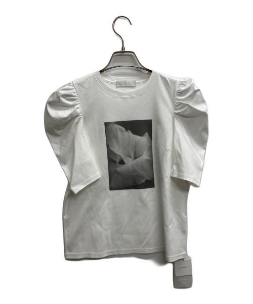 CELFORD（セルフォード）CELFORD (セルフォード) バリエーションプリントTシャツ ホワイト サイズ:36 未使用品の古着・服飾アイテム