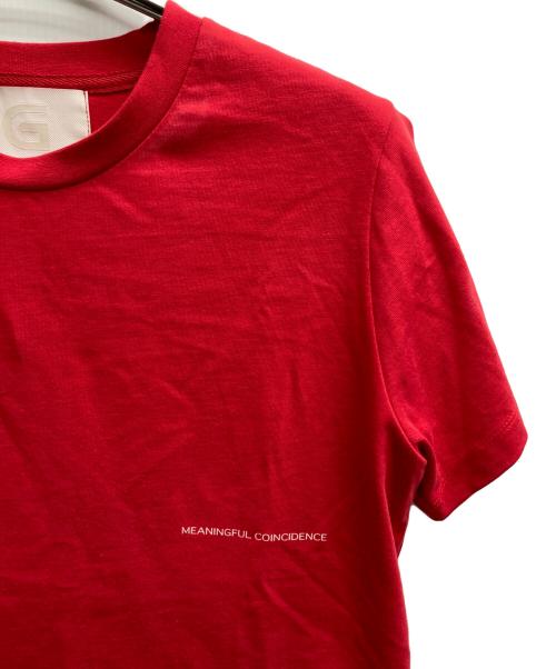 gadid anoniem（ガディッド アノニム）gadid anoniem (ガディッド アノニム) ZEKE / RED レッド サイズ:フリーの古着・服飾アイテム