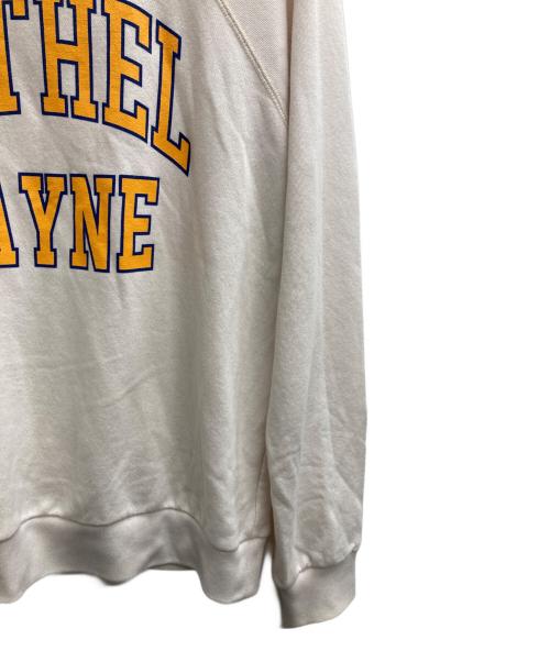 Shinzone（シンゾーン）Shinzone (シンゾーン) ベテルペインプルオーバー ベージュ サイズ:FREEの古着・服飾アイテム