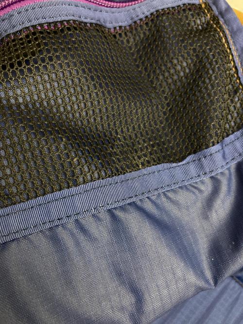 GREGORY（グレゴリー）GREGORY (グレゴリー) リュック ブラウン×パープルの古着・服飾アイテム