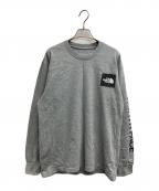 THE NORTH FACEザ ノース フェイス）の古着「L/S Sleeve Graphic TEE」｜グレー