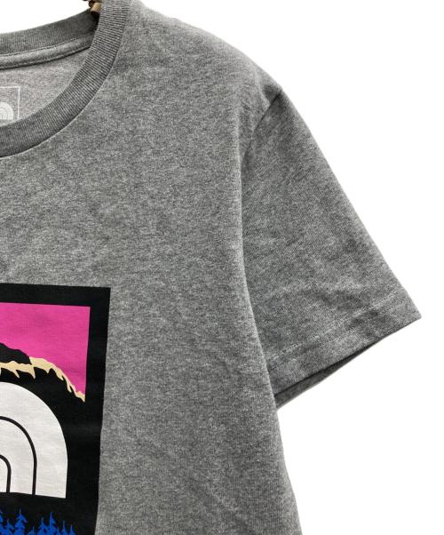 THE NORTH FACE（ザ ノース フェイス）THE NORTH FACE (ザ ノース フェイス) プリントTシャツ グレー サイズ:XLの古着・服飾アイテム