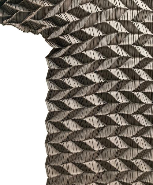 ISSEY MIYAKE（イッセイミヤケ）ISSEY MIYAKE (イッセイミヤケ) 立体プリーツカットソー ブラウン サイズ:2の古着・服飾アイテム