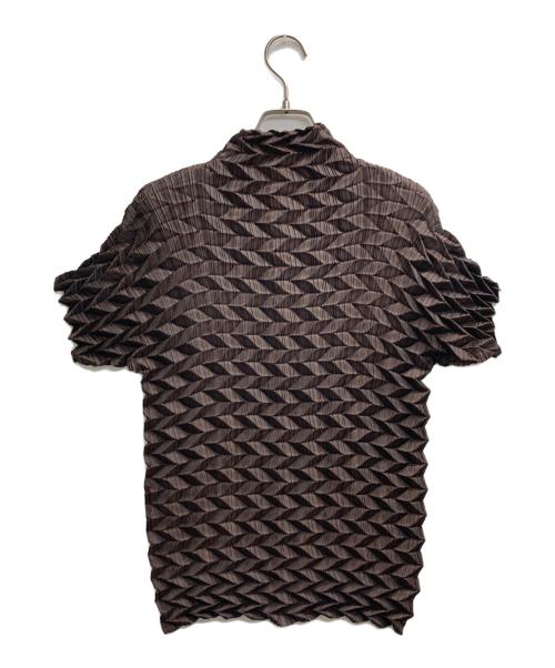 ISSEY MIYAKE（イッセイミヤケ）ISSEY MIYAKE (イッセイミヤケ) 立体プリーツカットソー ブラウン サイズ:2の古着・服飾アイテム