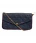 LOUIS VUITTON（ルイ ヴィトン）の古着「アンプラント・ポシェットフェリシー」｜ネイビー