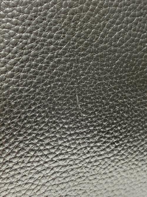 ear PAPILLONNER（イアパピヨネ）ear PAPILLONNER (イアパピヨネ) 2wayショルダーバッグ クロスボディ シルバーの古着・服飾アイテム