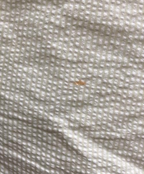 RALPH LAUREN（ラルフローレン）RALPH LAUREN (ラルフローレン) 半袖シャツ グリーン サイズ:4XLの古着・服飾アイテム