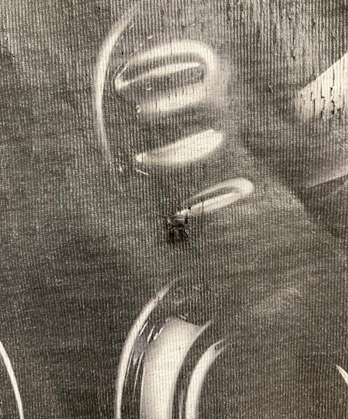 MOSCHINO（モスキーノ）MOSCHINO (モスキーノ) TOY BOY Tシャツ ブラック サイズ:記載なし（実寸サイズを参照ください）の古着・服飾アイテム