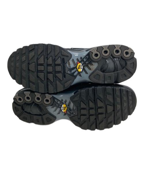 NIKE（ナイキ）NIKE (ナイキ) NIKE AIR MAX PLUS PRM BLACK ブラック サイズ:25.5の古着・服飾アイテム